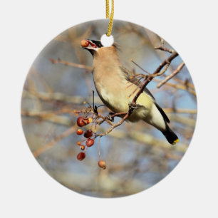 Cedar Waxwing Eating Berries Ceramic Ornament