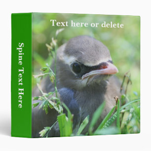 Cedar Waxwing Fledgling Bird Personalized Binder