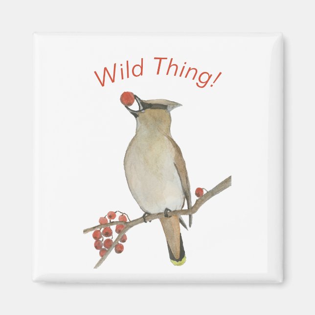 Cedar Waxwing Magnet (Front)