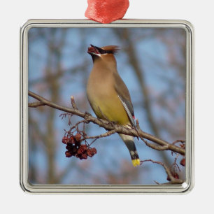 Cedar Waxwing Metal Ornament