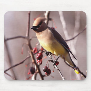 Cedar Waxwing Mouse Pad