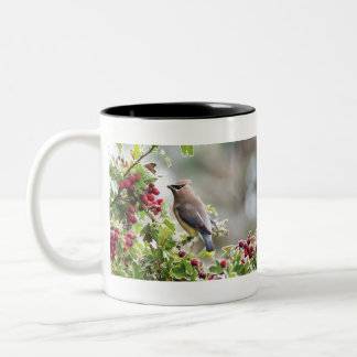 Cedar Waxwing mug