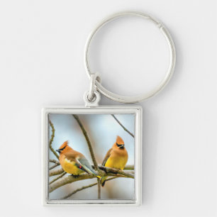 Cedar Waxwing - Original Photograph Keychain