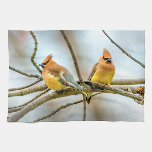 Cedar Waxwing - Original Photograph Kitchen Towel (Horizontal)