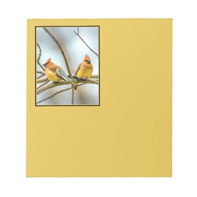 Cedar Waxwing - Original Photograph Notepad (Front)