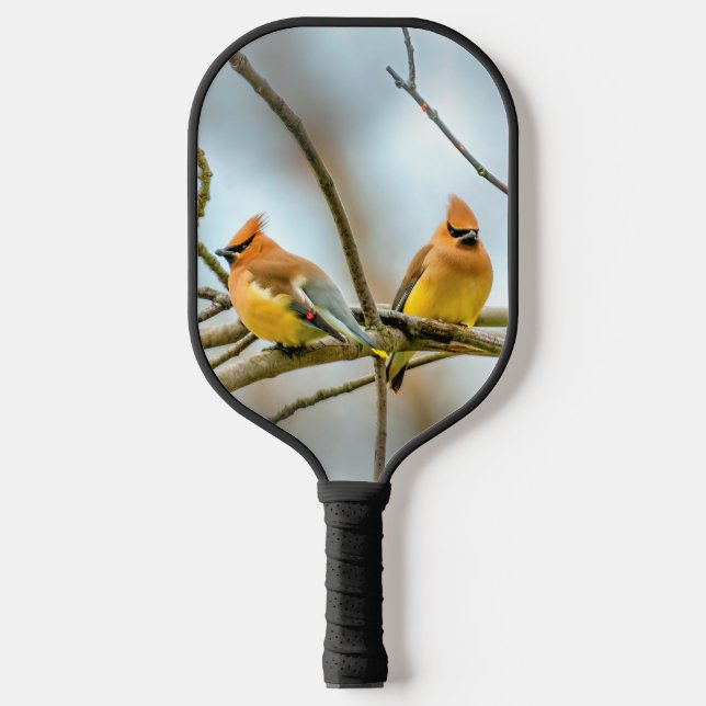 Cedar Waxwing - Original Photograph Pickleball Paddle (Front)
