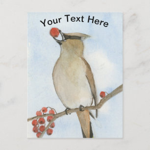 Cedar Waxwing Postcard