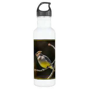 Cedar Waxwing Songbird Original Wild Bird Photo 710 Ml Water Bottle