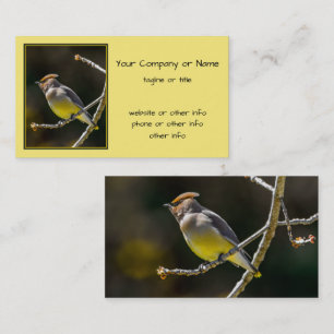 Cedar Waxwing Songbird Original Wild Bird Photo Business Card
