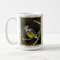Cedar Waxwing Songbird Original Wild Bird Photo