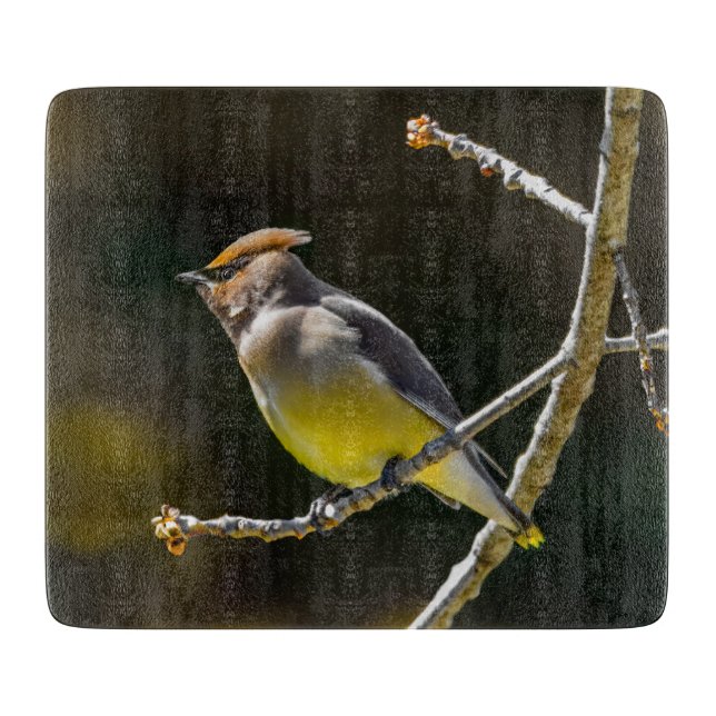 Cedar Waxwing Songbird Original Wild Bird Photo Cutting Board (Front)