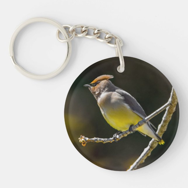 Cedar Waxwing Songbird Original Wild Bird Photo Keychain (Front)