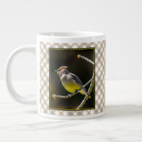 Cedar Waxwing Songbird Original Wild Bird Photo
