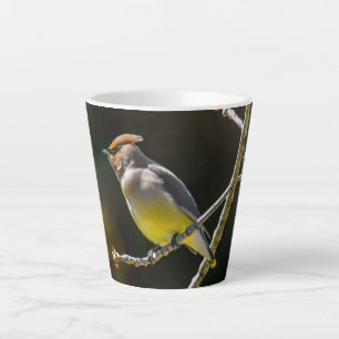 Cedar Waxwing Songbird Original Wild Bird Photo Latte Mug