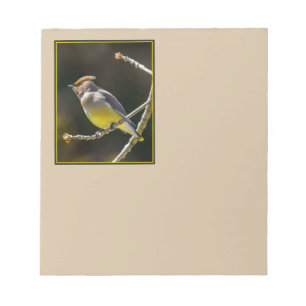 Cedar Waxwing Songbird Original Wild Bird Photo Notepad
