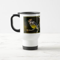 Cedar Waxwing Songbird Original Wild Bird Photo