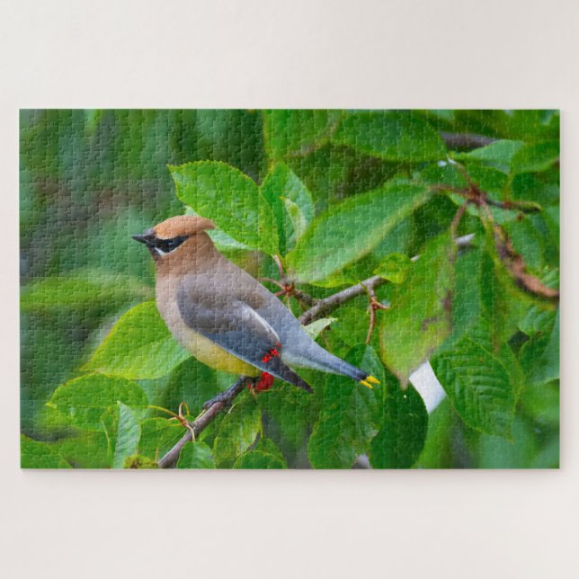 Cedar Waxwing Super Challenging Bird Lover Jigsaw Puzzle (Horizontal)