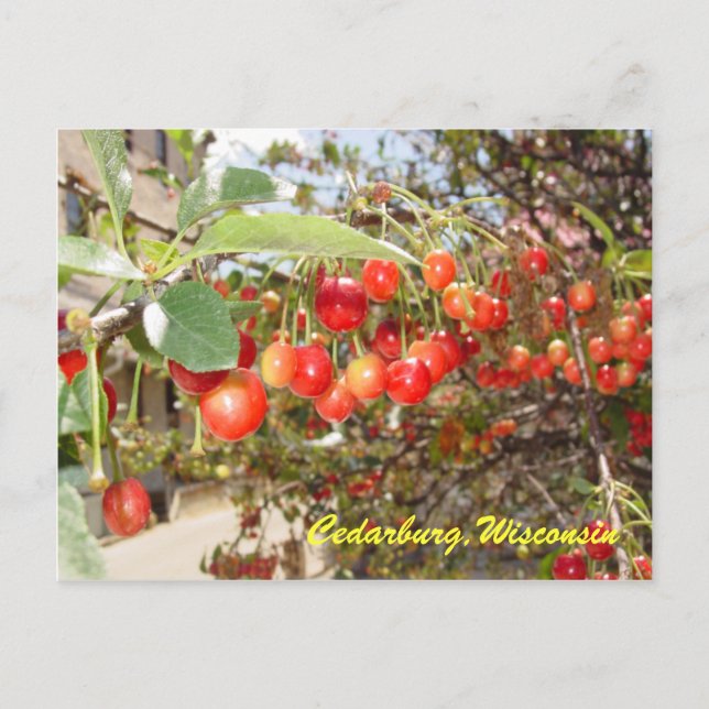 Cedarburg Postcard (Front)