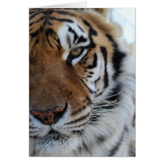 Cedarhill Animal Sanctuary Card