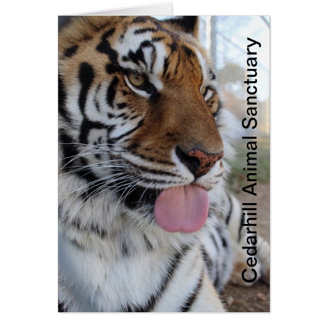 Cedarhill Animal Sanctuary Card (Front)