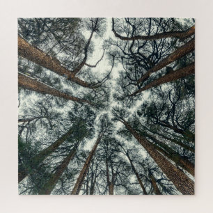 Cedars Forest Natural Lebanon Background Jigsaw Puzzle