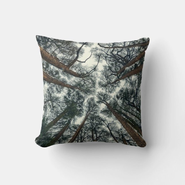 Cedars Forest Natural Lebanon Background Throw Pillow (Front)