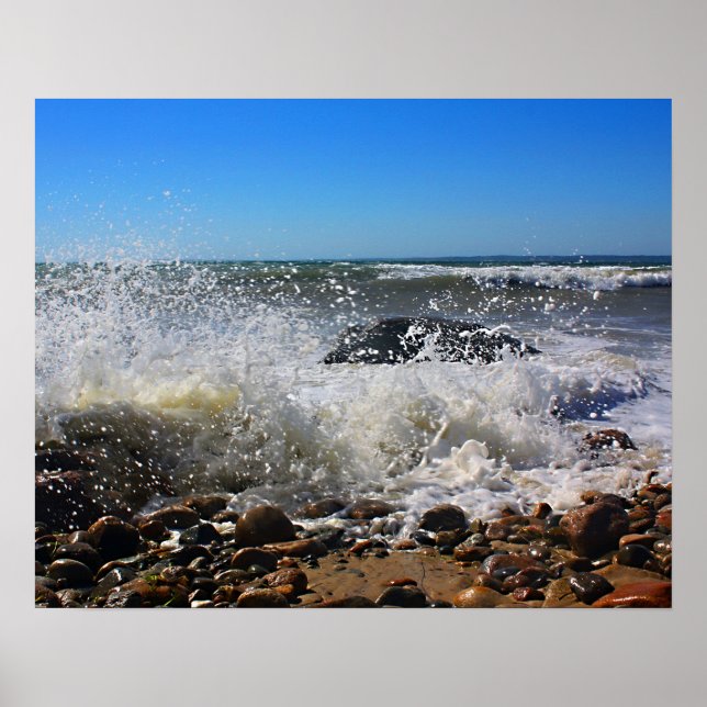 CedarTreeNeck16x20 Poster (Front)