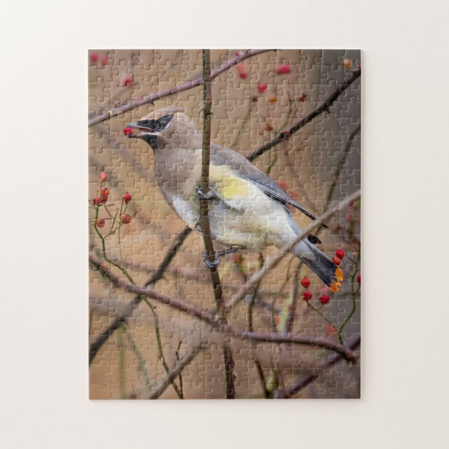 Cèdre | Jigsaw Puzzle (Vertical)