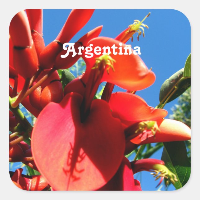 Ceibo Square Sticker (Front)