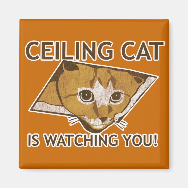 Ceiling Cat is watching you! Magnet (Front)