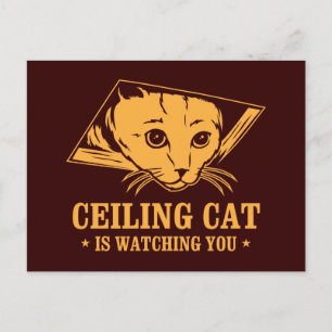 Ceiling Cat is Watching You Postcard