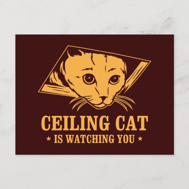 Ceiling Cat is Watching You Postcard (Front)