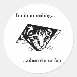 Ceiling Cat ubservin u... Classic Round Sticker