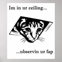 Ceiling Cat ubservin u...