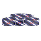 Chiot Jouer à la fierté drapeau