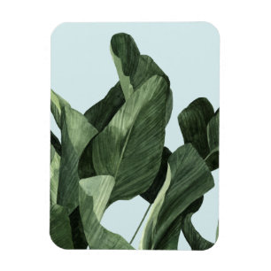 Celadon Palms Magnet