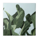 Celadon Palms Tile<br><div class="desc">Celadon Palms II by Emma Scarvey. Features deeply coloured tropical foliage against a pastel background.</div>