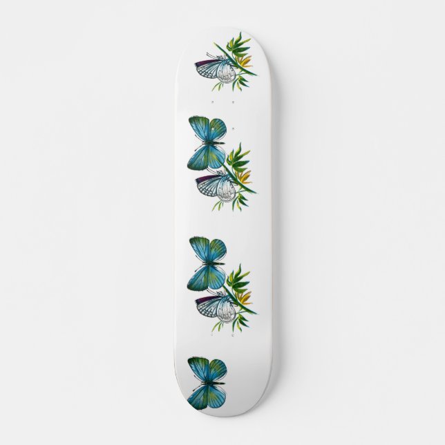 Celastrina argiolus (male) skateboard (Front)