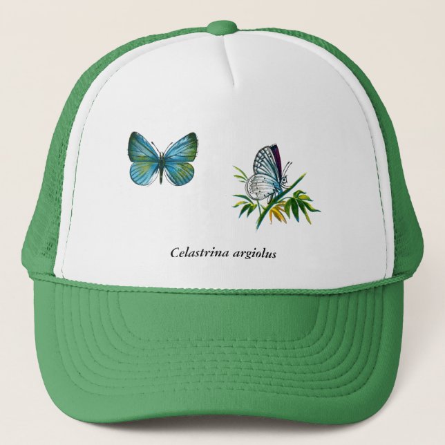 Celastrina argiolus (male) trucker hat (Front)