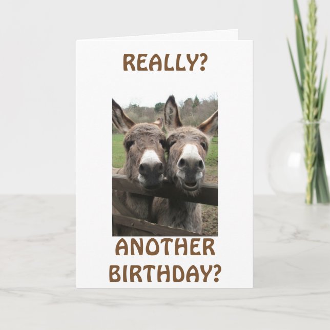 CELEBRATE BIRTHDAY TO GET ATTENTION ASKS MULES? CARD (Front)