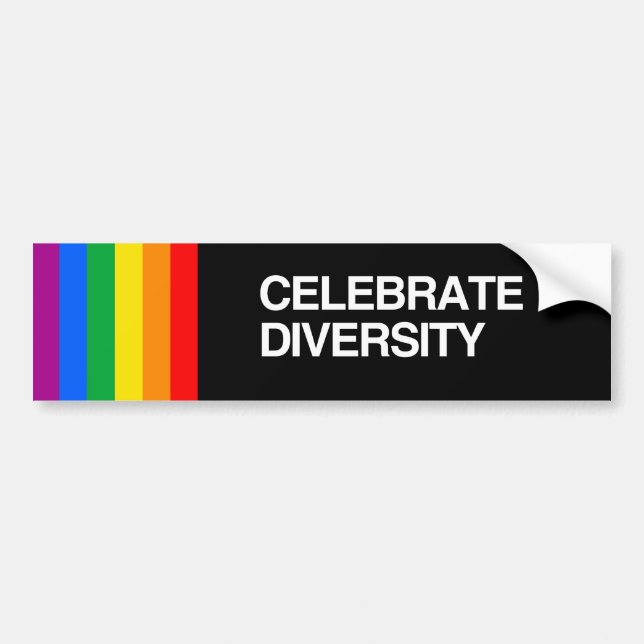 CELEBRATE DIVERSITY BUMPER STICKER (Front)