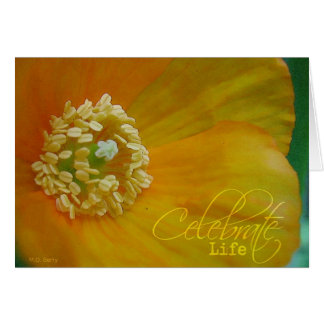 Celebrate Life