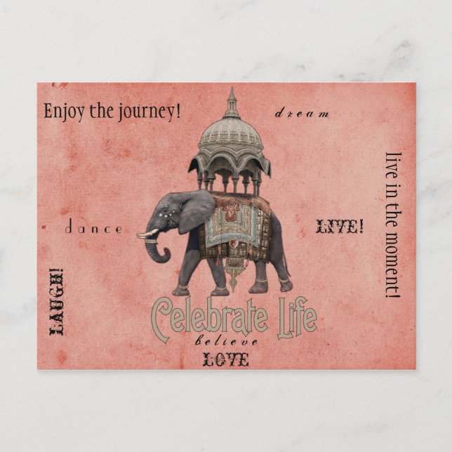 Celebrate life post card (Front)