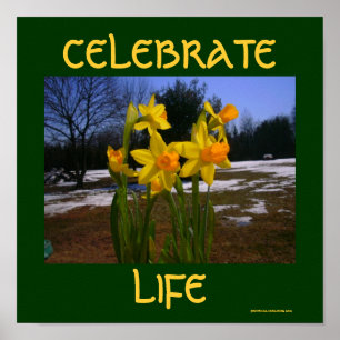 celebrate life/spring poster