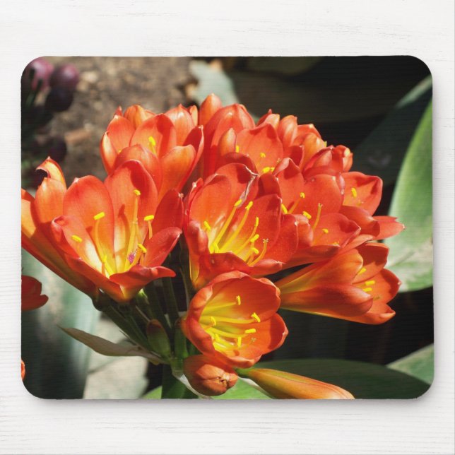 Celebrate Mouse Pad (Front)