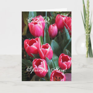 Celebrate!, Spring is Here! Holiday Card