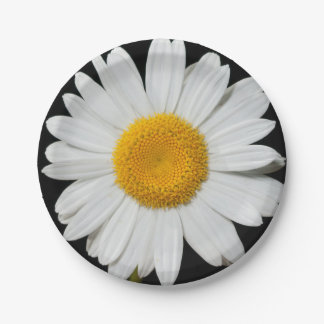 Celebrate Spring with a Huge White Daisy Paper Plate