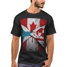 Celebrate Unity with Our "Two Flags - One