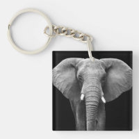 Celebrate World Elephant Day: Majestic Design