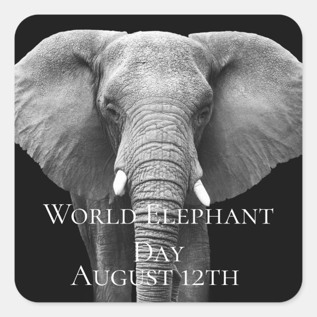 Celebrate World Elephant Day: Majestic Design  Square Sticker (Front)